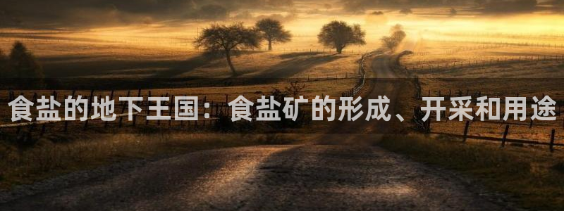 威九国际演员表