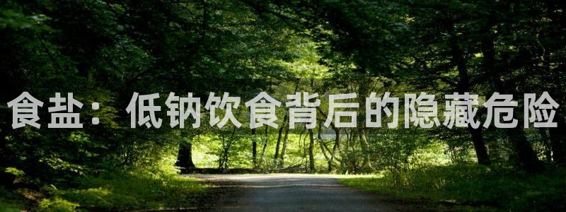 威九国际X8