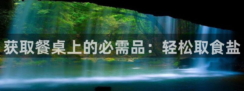 威九国际ppt官网