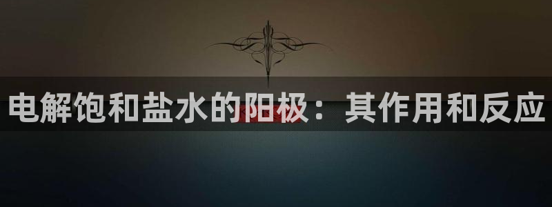 威九国际X8