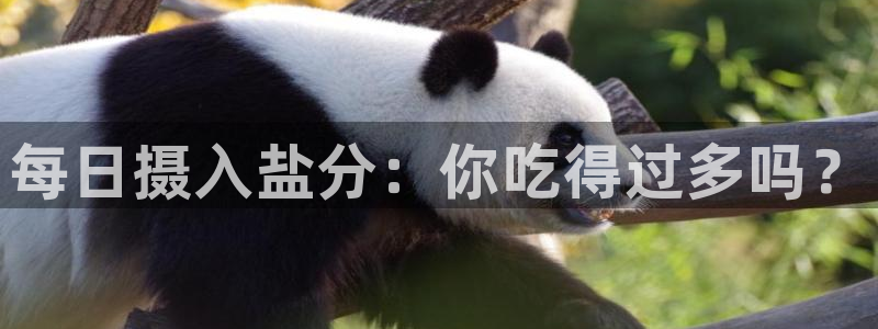 威九国际免费游戏