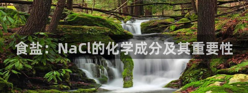 78.m威九国际官网版