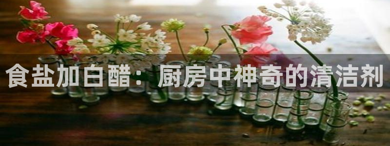 威九国际app客服电话多少