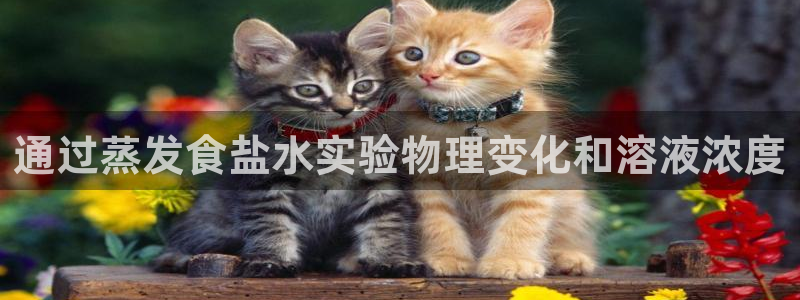 威九国际的网站入口在哪里