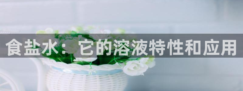 威九国际演员表