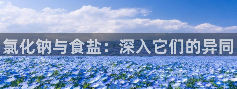 威九国际网站入囗
