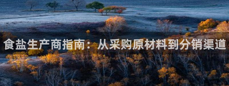 威九国际官方入口官网