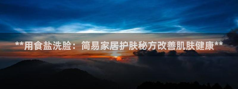 威九国际软件公司简介