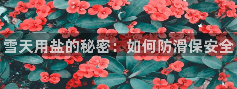 威九国际可以退钱吗怎么退的