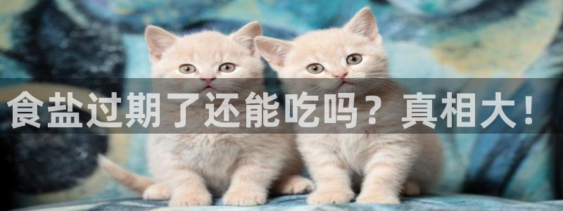 威九国际v96 bet会黑吗
