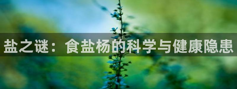 威九国际免费进入