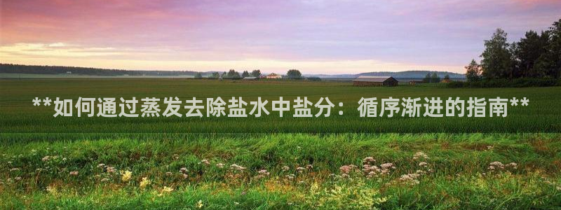 威九国际mm