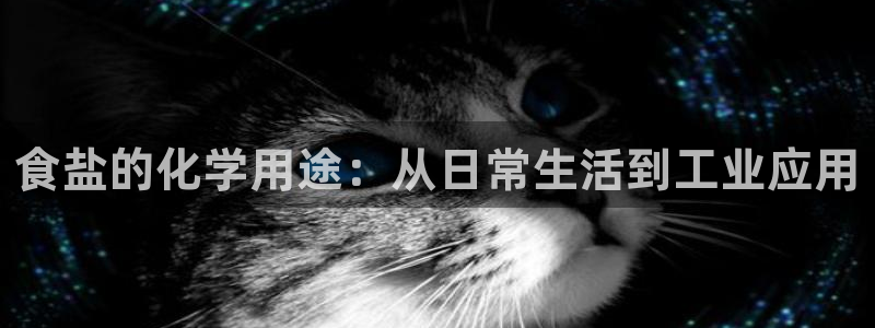 威九国际成长模式怎么样