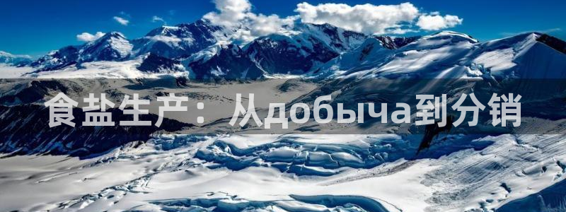 威九国际软件