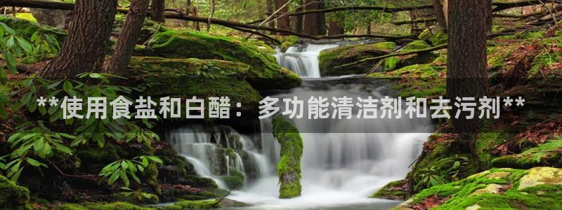 威九国际发布新版eBzxin2Tp