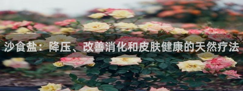 威九国际新人白发