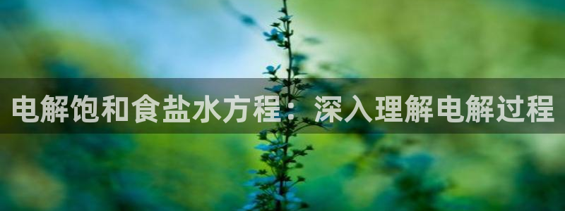 威九国际v9