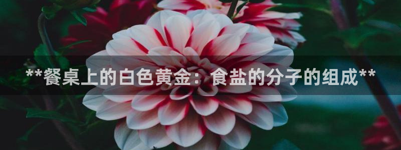威九国际v8