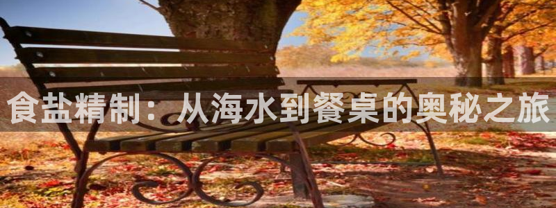 威九国际66m免费下载
