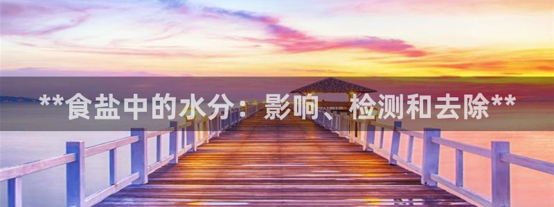 威九国际ppt免费