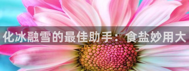 威九国际ppt免费吗