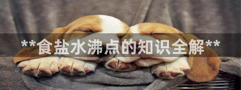 威九国际旗下艺人
