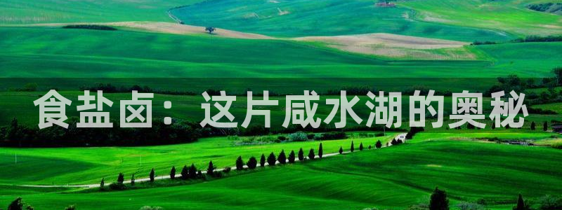 威九国际的金融服务怎么样