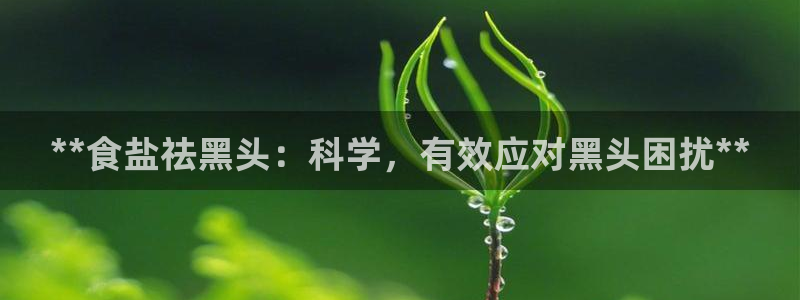 威九国际78mB官网版
