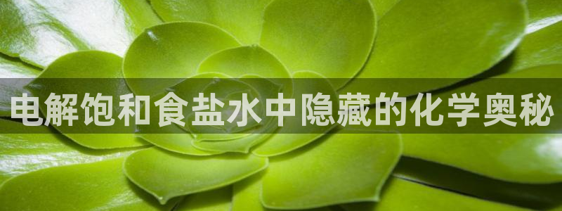 威九国际网站下载