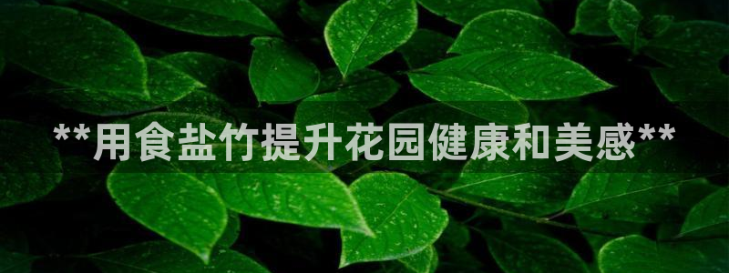 威九国际78
