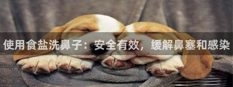 威九国际清砖码头怎么样
