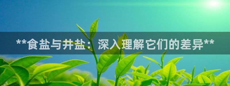 威九国际66