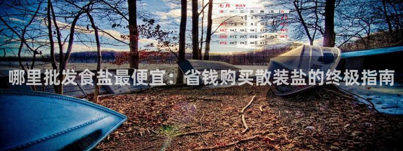 威九国际客服电话号码