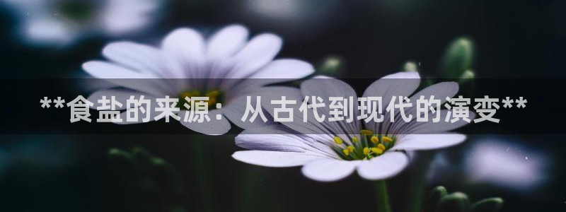 威九国际8ⅹ8x
