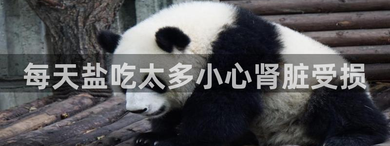 保定威九网络科技有限公司招聘