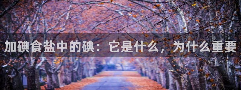 威九国际66m66大陆