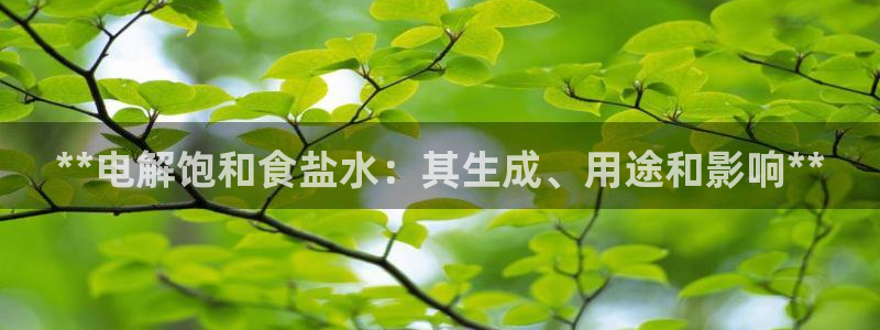 保定威九网络科技有限公司是干嘛的