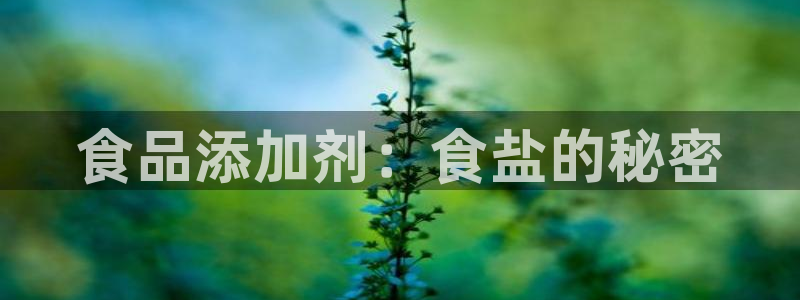 威九国际78m78
