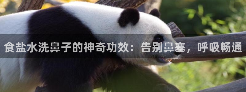 威九国际可以提现吗