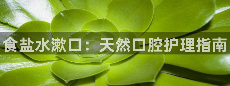 威九国际客服电话号码是多少