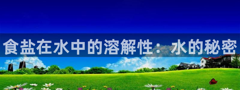 威九国际A