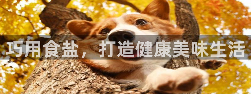 威九国际网站链接怎么打开