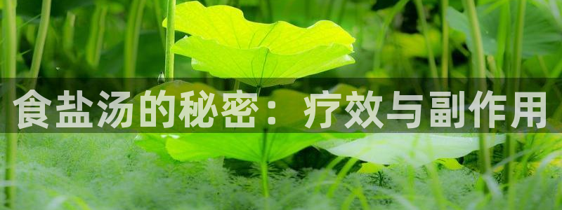 威九国际mm