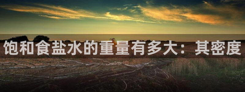 威九国际黑钱