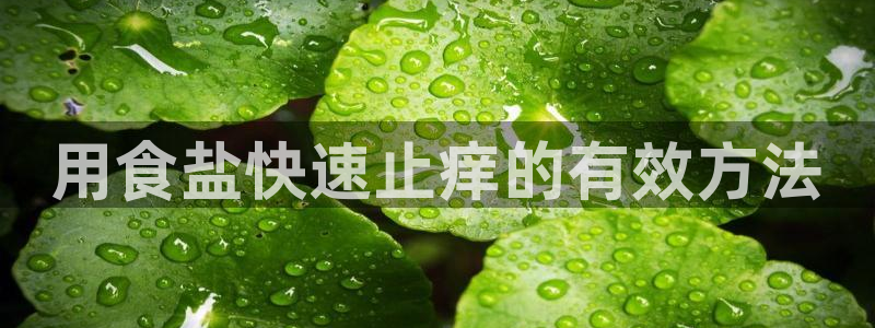 威九国际66m免费下载