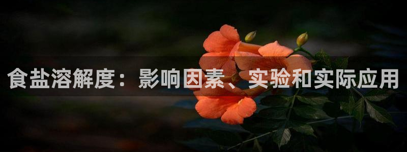 威九国际最受欢迎的功能