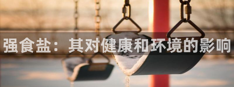 威九国际官方入口官网