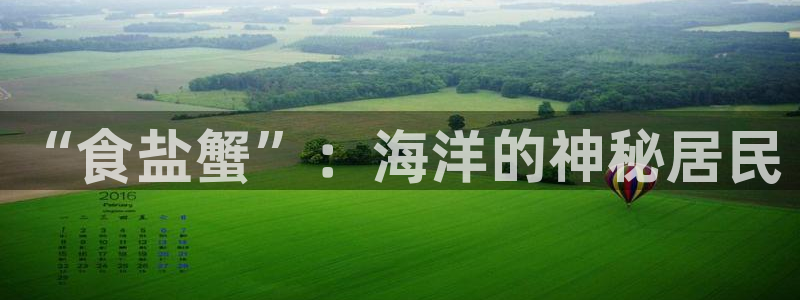 威九国际游戏app(网站)