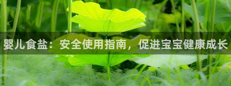威九国际新