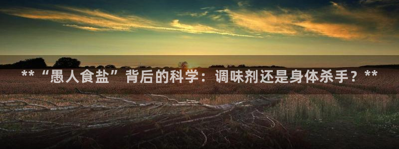威九国际免费网络站